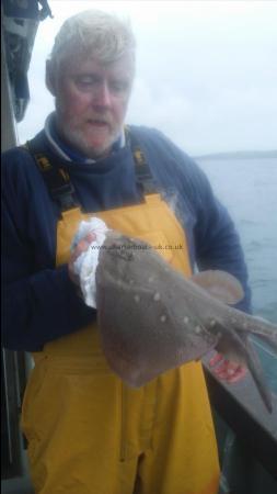 4 lb 8 oz Spotted Ray by Stuart,s