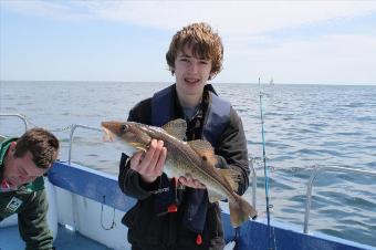 2 lb 7 oz Cod by Unknown