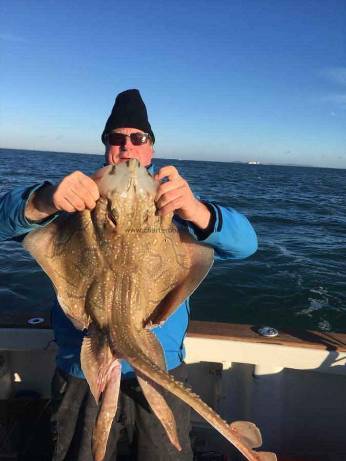 10 lb Undulate Ray by Unknown