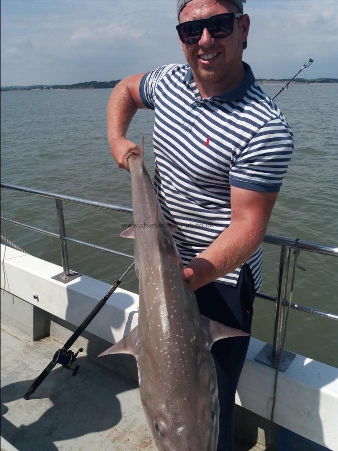 17 lb Starry Smooth-hound by Jordan Shepard