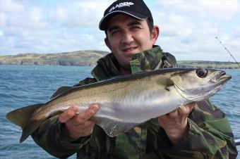 4 lb Pollock by Dan Truelove