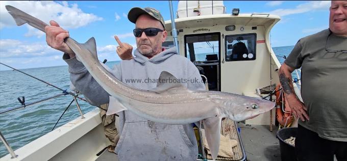 11 lb 4 oz Smooth-hound by Alan