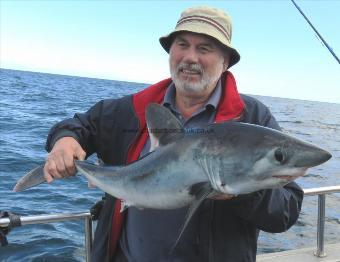 20 lb Porbeagle by Les Traynor