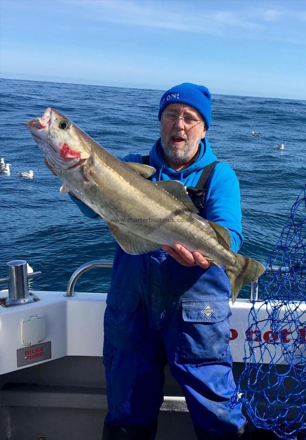 12 lb 10 oz Pollock by Ian