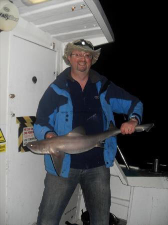 12 lb Starry Smooth-hound by Unknown