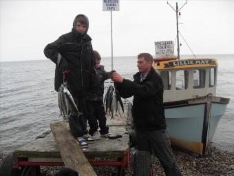 2 lb Mackerel by James Meyer