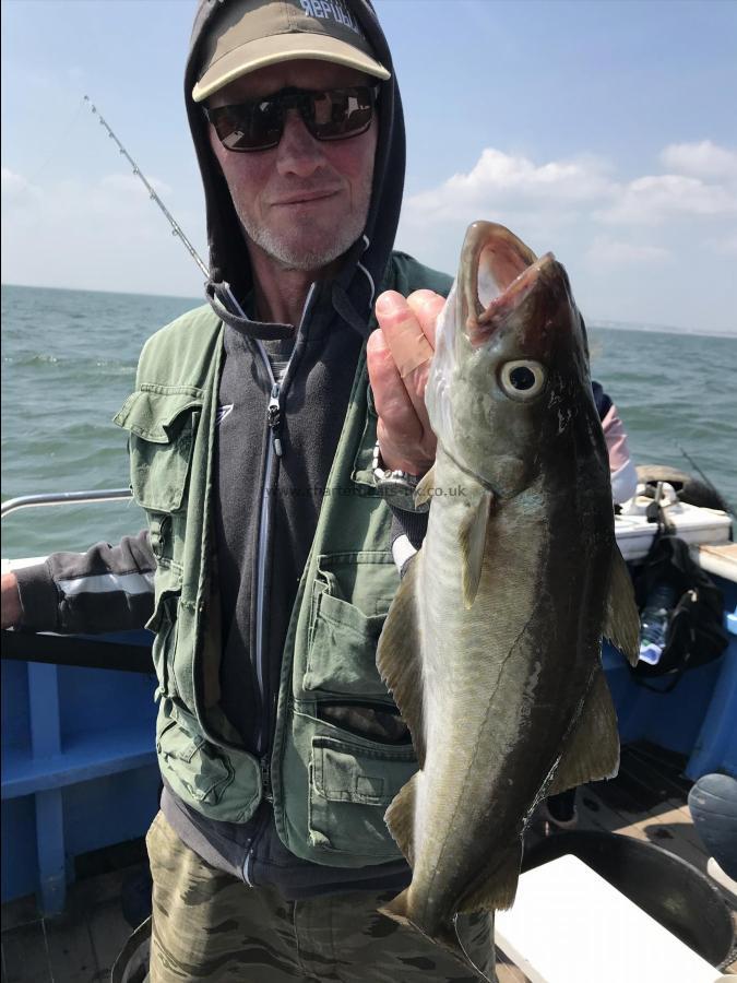 5 lb Pollock by Jack 14/7/2018 pollock