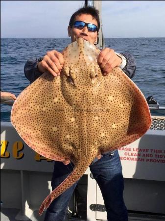 20 lb Blonde Ray by Leo