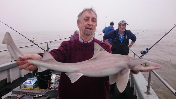 9 lb 3 oz Starry Smooth-hound by Pete