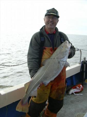 16 lb 8 oz Cod by Unknown