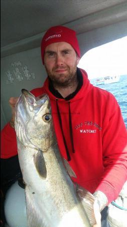 8 lb 4 oz Pollock by paul