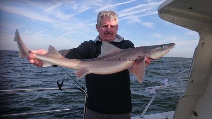 8 lb Smooth-hound by Bob Marshall