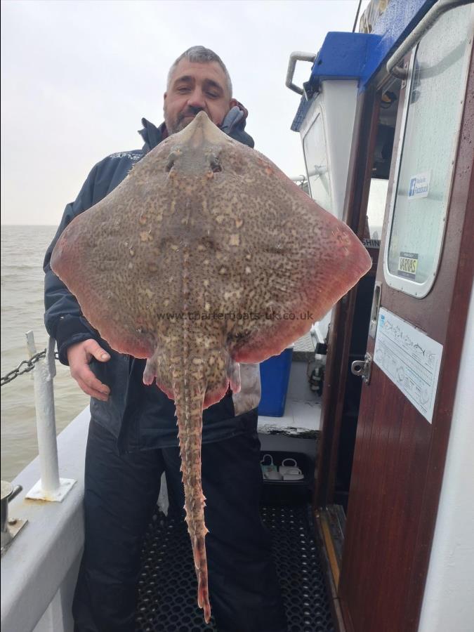 13 lb Thornback Ray by Russell