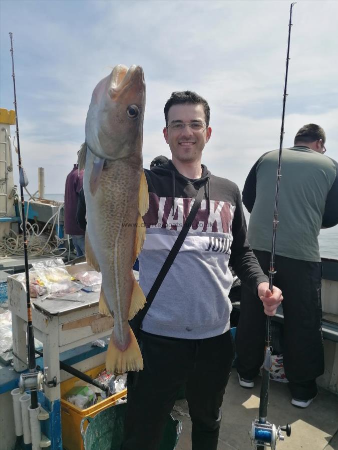 5 lb 6 oz Cod by Unknown