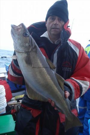 8 lb Pollock by Roger