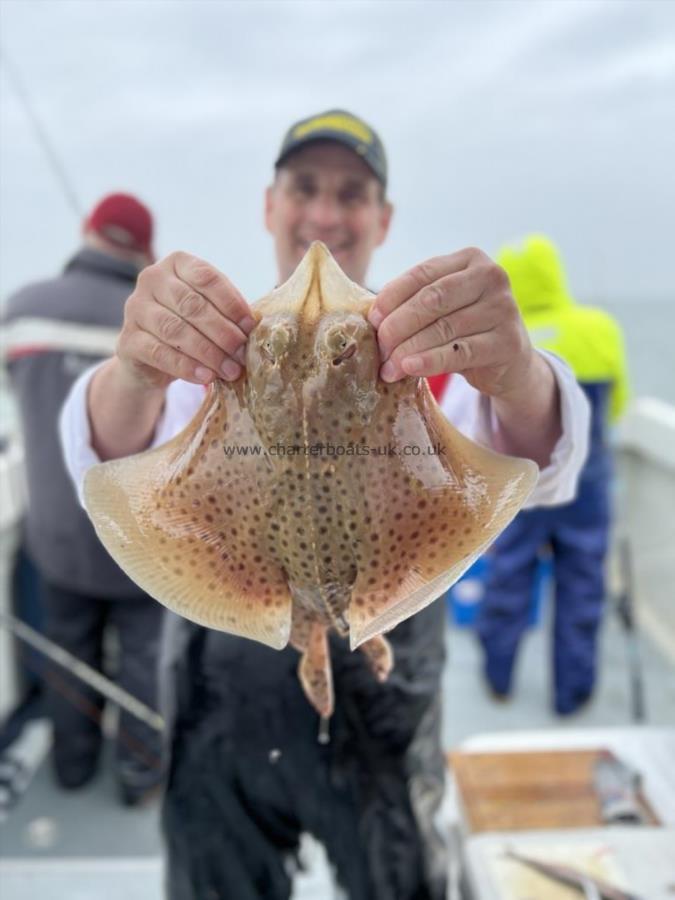 3 lb 11 oz Spotted Ray by Unknown