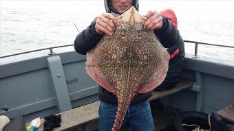 11 lb 4 oz Thornback Ray by Tom