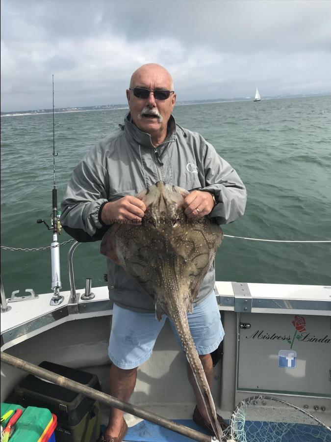 6 lb Undulate Ray by Comedy Clive