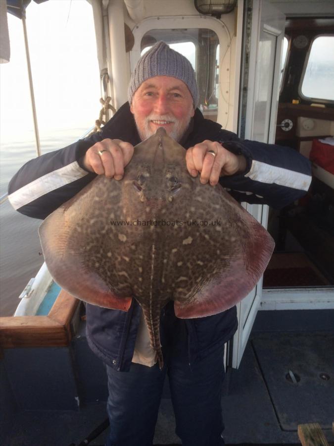 6 lb 8 oz Thornback Ray by Sneaky mick