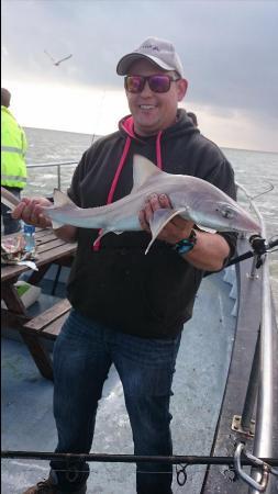 5 lb Starry Smooth-hound by George