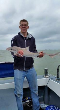 8 lb 3 oz Smooth-hound by Unknown