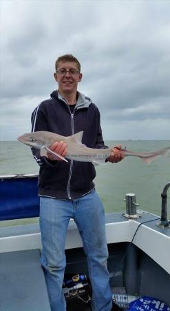 8 lb 3 oz Smooth-hound (Common) by Unknown