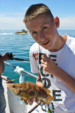 1 lb 8 oz Ballan Wrasse by Marky Holland