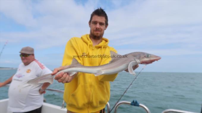 6 lb Smooth-hound by Skipper Stuart