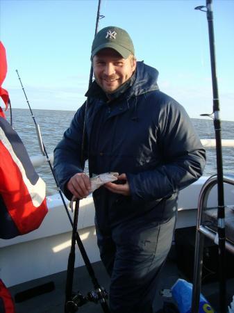 1 lb Whiting by Guy Bailey