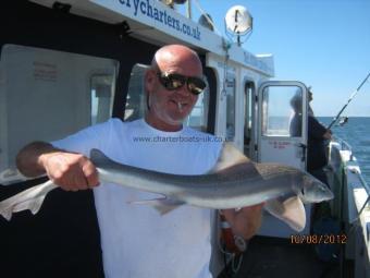 6 lb Starry Smooth-hound by Unknown