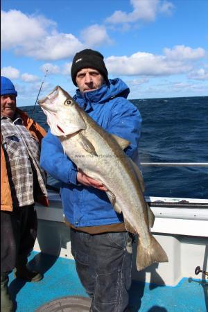 13 lb Pollock by Kevin McKie