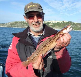 1 lb 9 oz Three Bearded Rockling by Kevin Clark