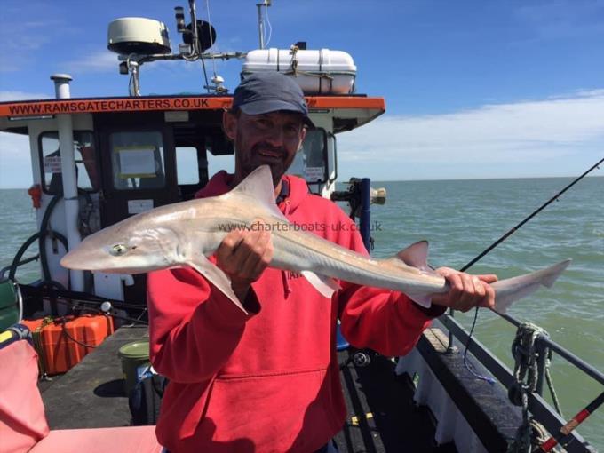 6 lb Smooth-hound by Unknown