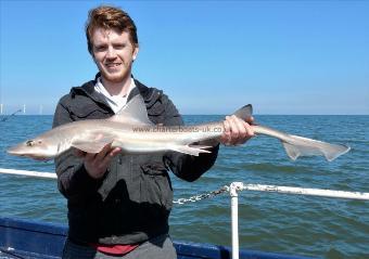 7 lb Smooth-hound (Common) by Unknown