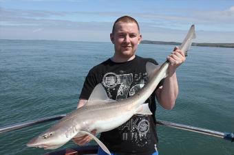 14 lb Starry Smooth-hound by Gary