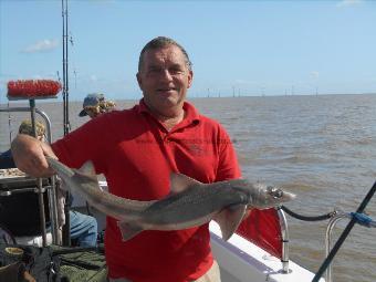 6 lb 5 oz Starry Smooth-hound by Bob