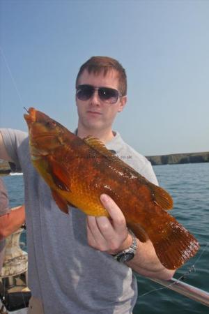 3 lb Ballan Wrasse by Stephen