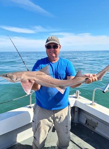 11 lb Smooth-hound (Common) by Mark