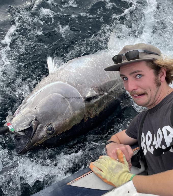 400 lb Bluefin Tuna by Client