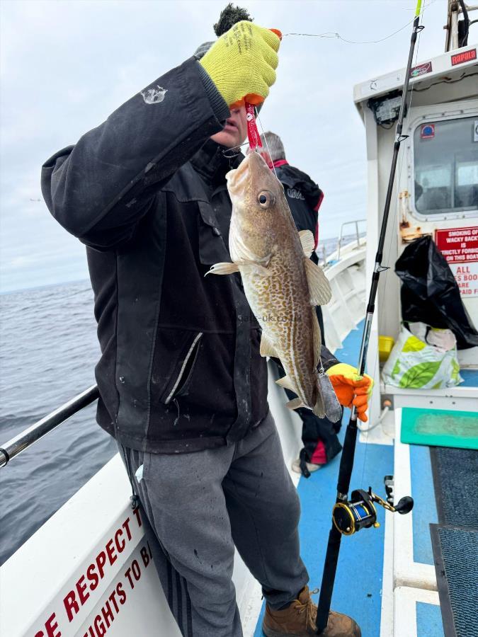 3 lb Cod by Unknown
