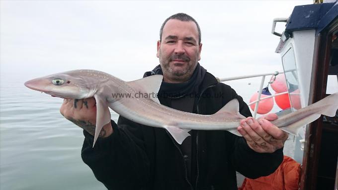 4 lb 2 oz Starry Smooth-hound by Stuart from herne bay