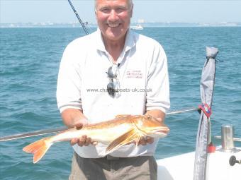 5 lb 9 oz Tub Gurnard by Steve Cox