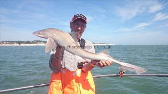 10 lb Starry Smooth-hound by Alan Yates from folkestone,