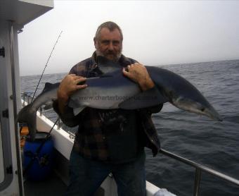 55 lb Blue Shark by John