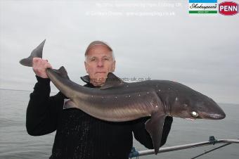 20 lb 13 oz Spurdog by Bernard