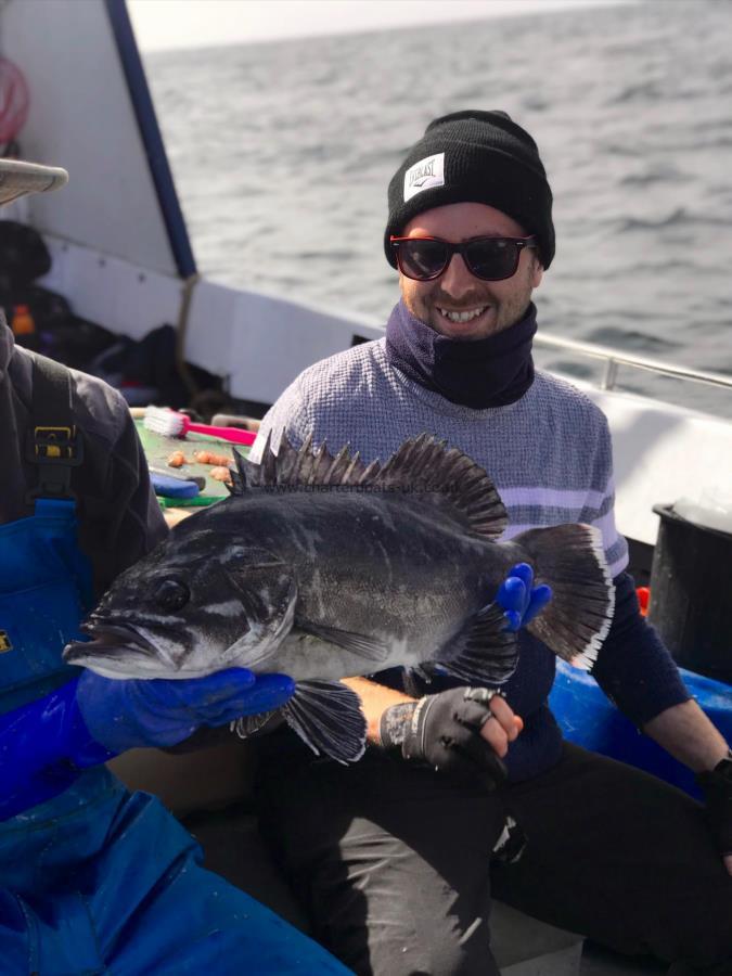 5 lb 7 oz Wreckfish (Stone Bass) by Unknown