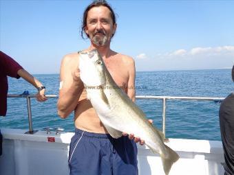 7 lb 6 oz Pollock by Pete the Hippy