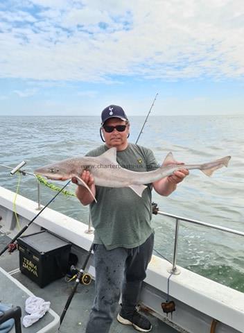 10 lb Smooth-hound (Common) by Dave Warman