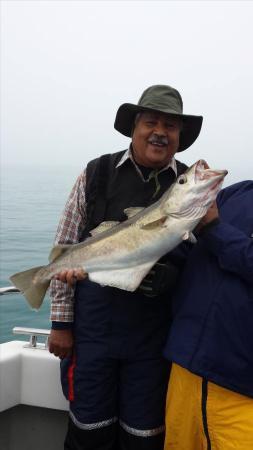 9 lb Pollock by Farooq (Tabish's Crew)