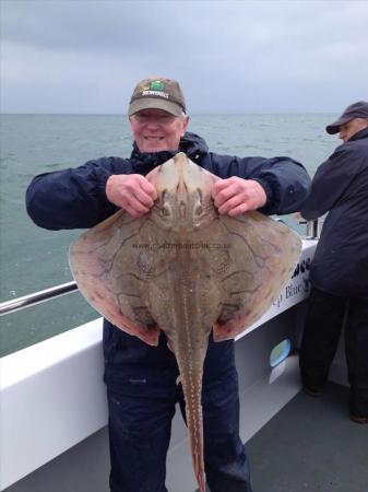 18 lb Undulate Ray by Alan Jenner